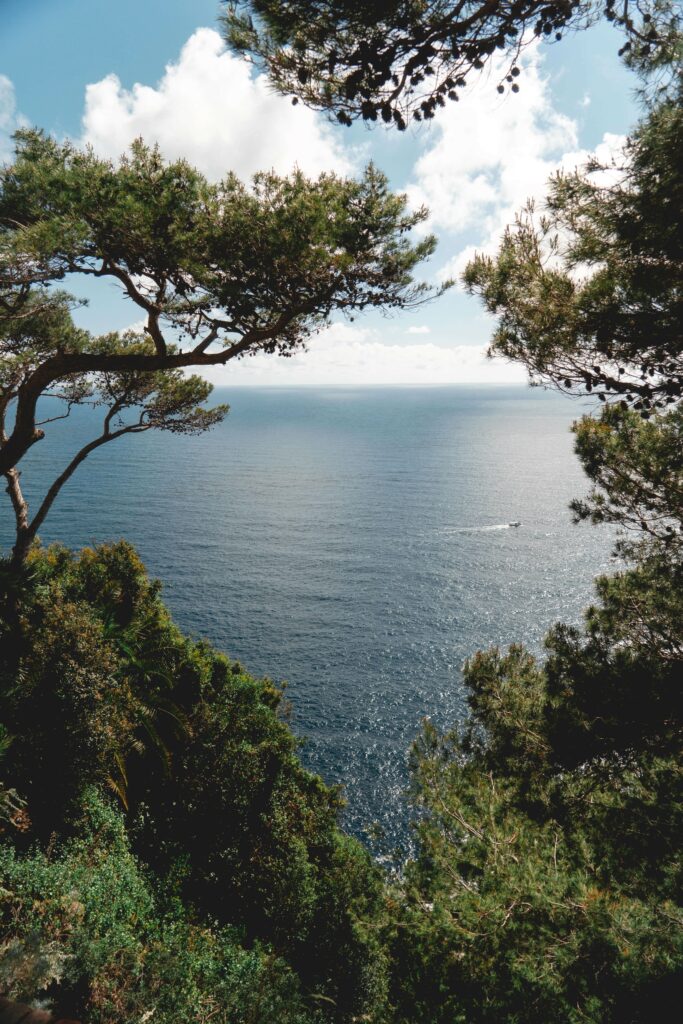Dior et le Sud, une histoire qui s’immortalise naturellement à l’Hôtel du Cap-Eden-Roc, joyau de la French Riviera.