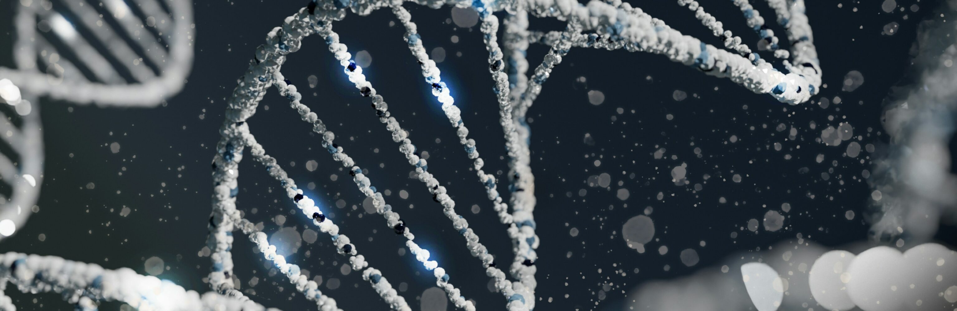 sangharsh-lohakare-Iy7QyzOs1bo-unsplash